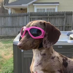 Meet your Posher, Malisa